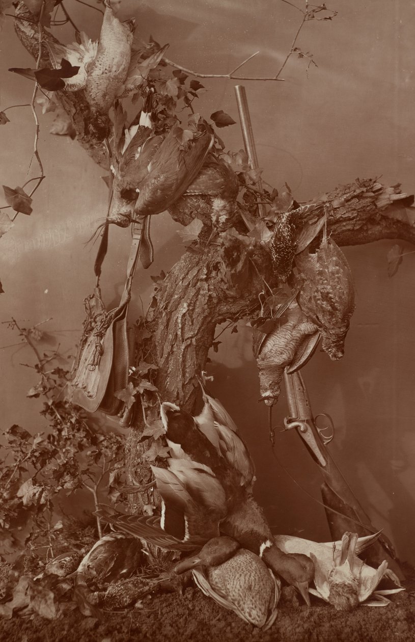 [Still Life: Dead Game] av Adolphe Braun