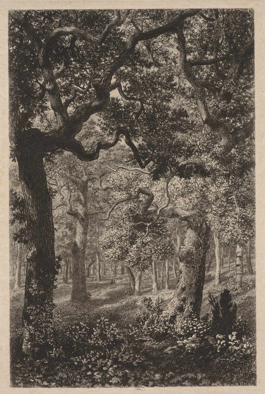 I skogen av Adolphe Théodore Jules Martial Potémont