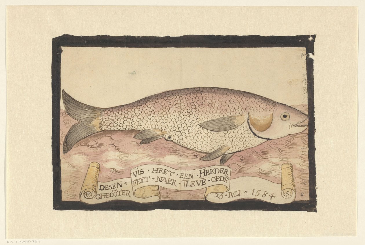 Flathead grå mulle av Adriaen Coenen