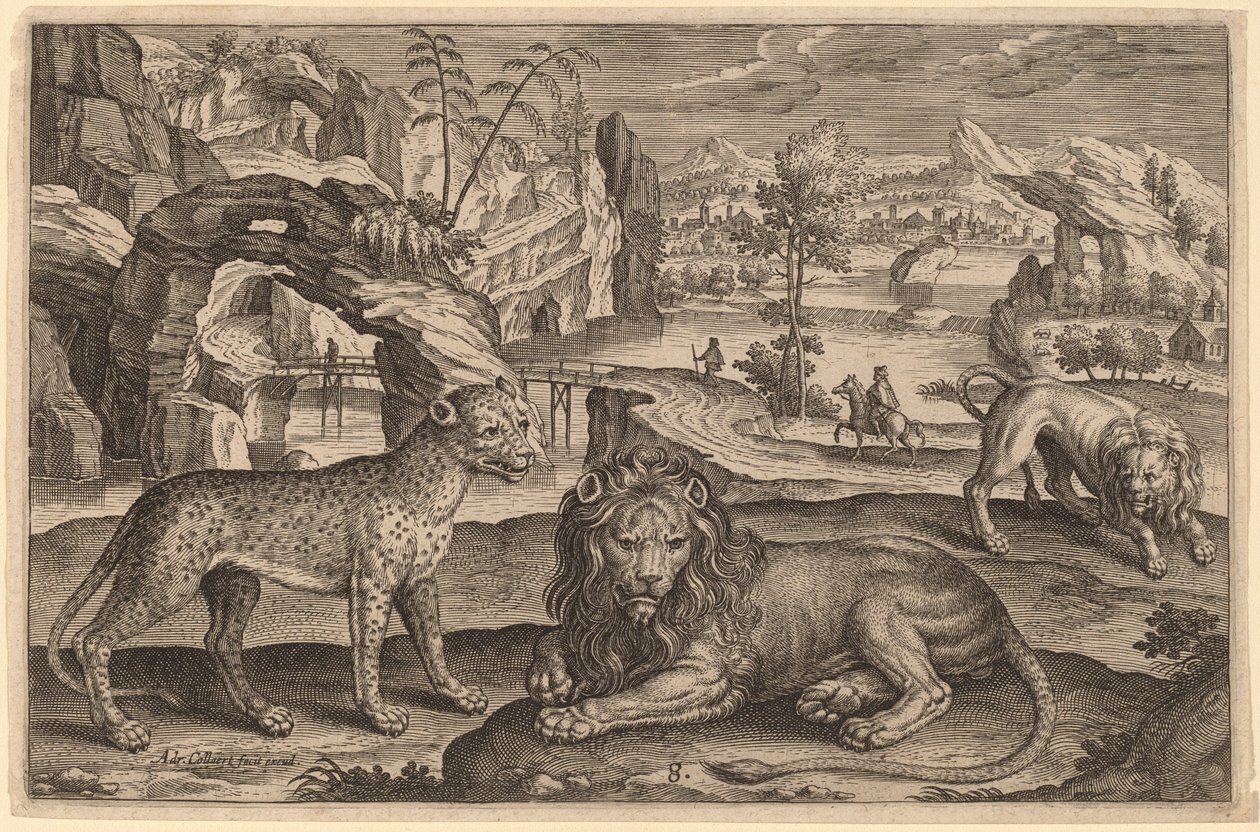 En leopard och två lejon av Adriaen Collaert