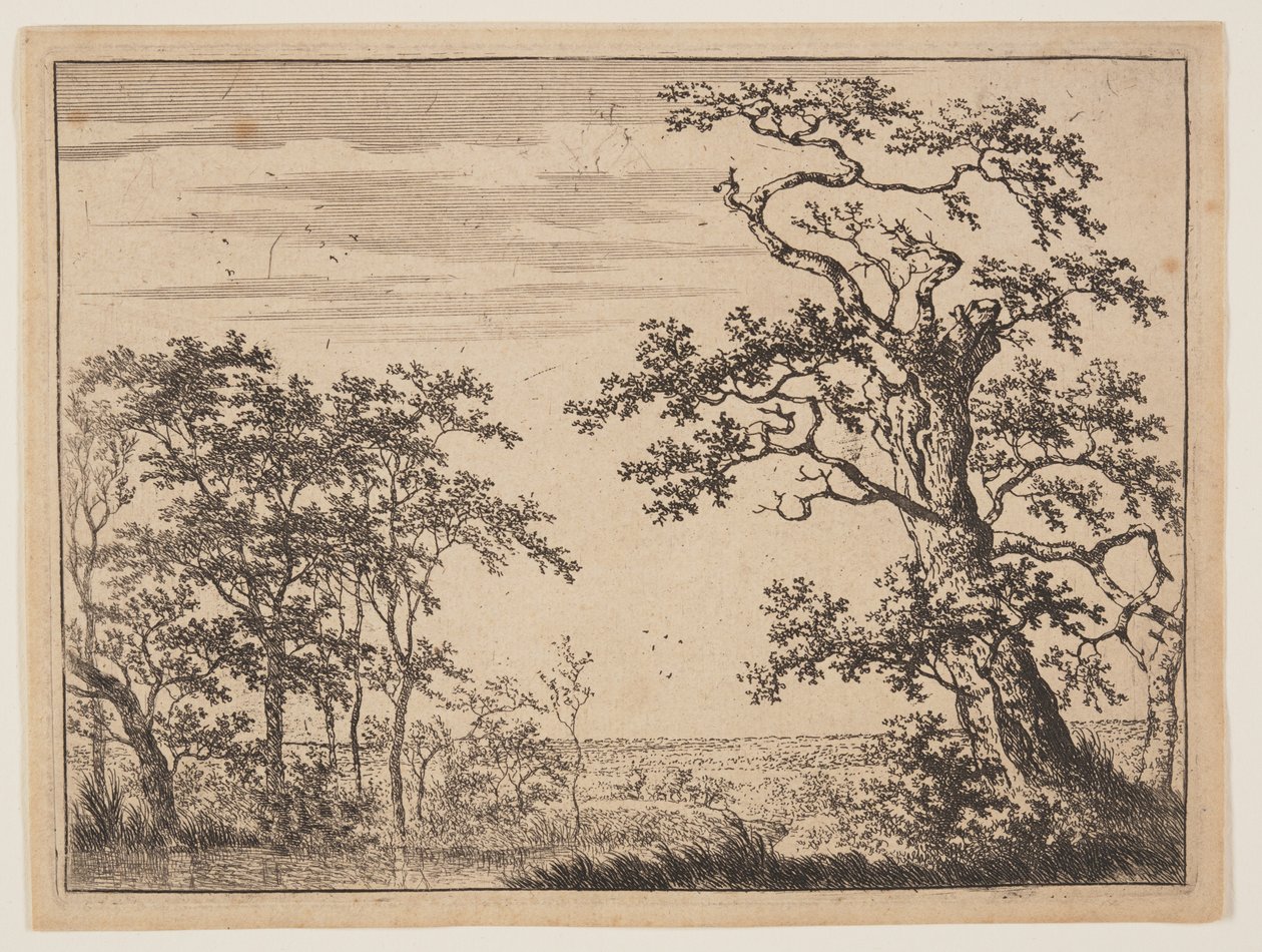 Dammen av Adriaen Hendricksz. Verboom