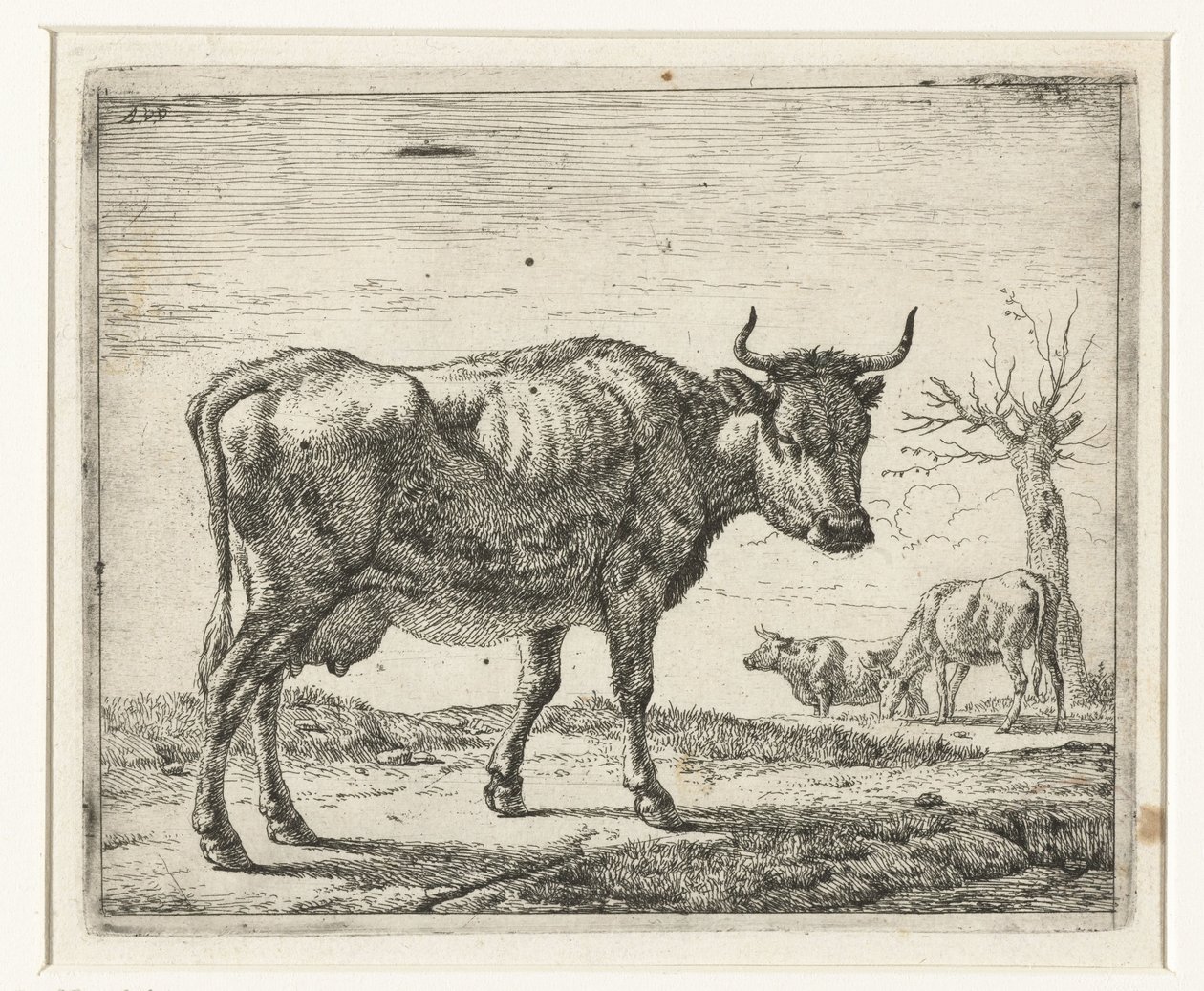 Tre kor Olika djur (serietitel) av Adriaen van de Velde