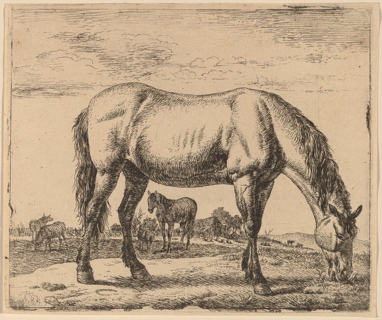 Betande häst av Adriaen van de Velde
