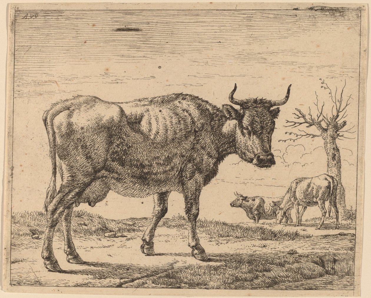 Tre kor av Adriaen van de Velde