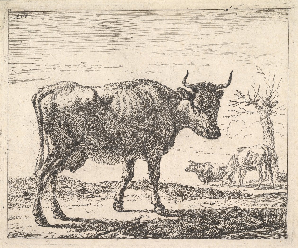 Tre kor. av Adriaen van de Velde