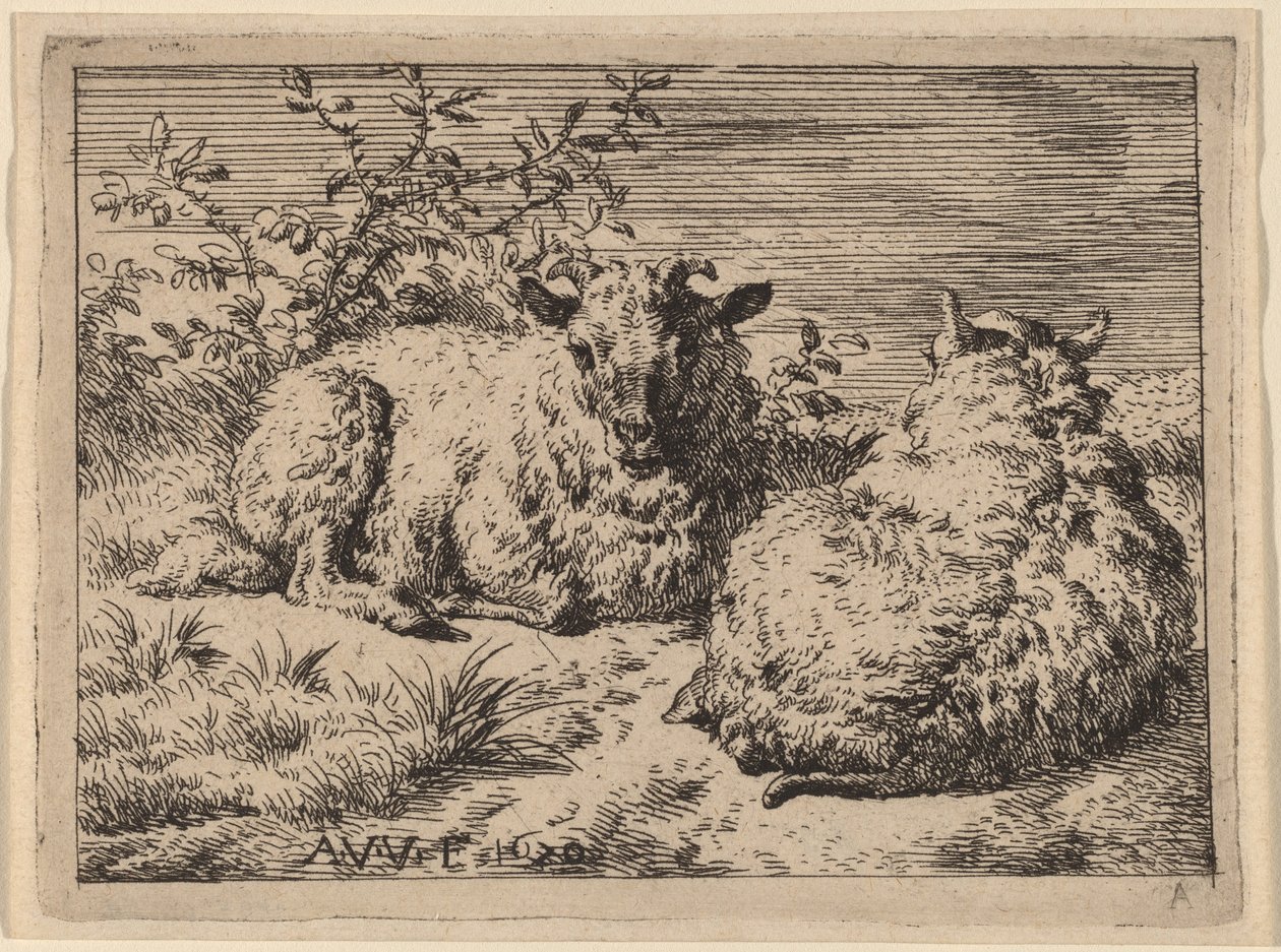 Två liggande får av Adriaen van de Velde