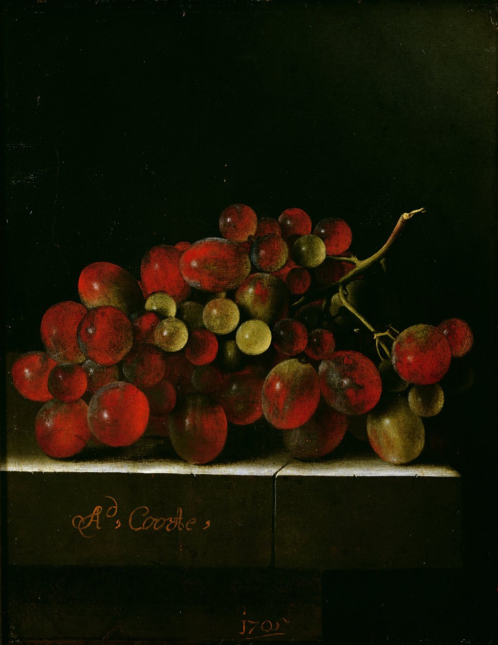 Grapes, 1705 (olja på papper på panel) av Adrian Coorte