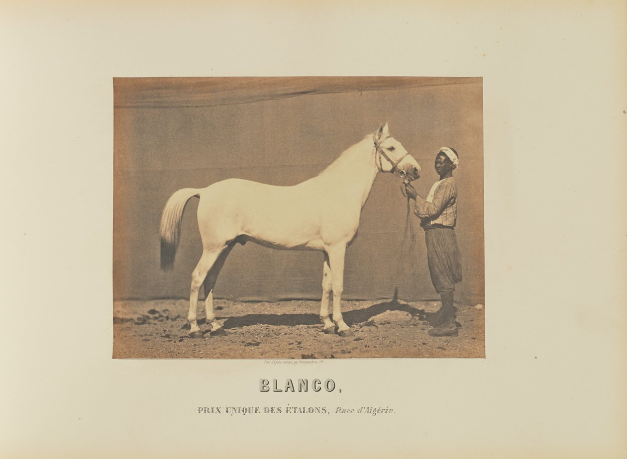 Blanco av Adrien Alban Tournachon