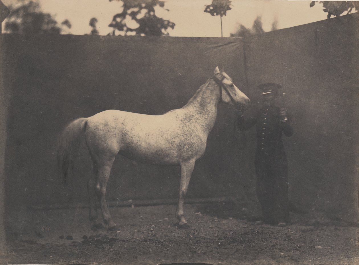 Pascaline, ca. 1855-60. av Adrien Alban Tournachon