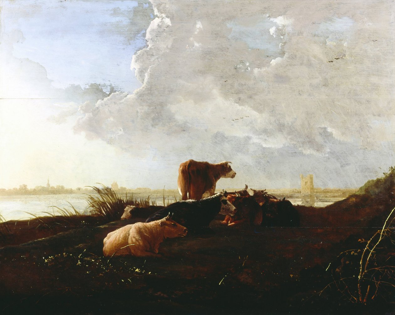 Cattle near a River av Aelbert Cuyp