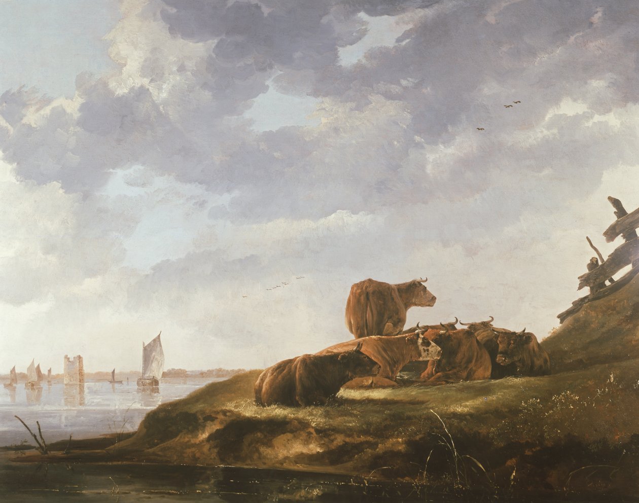 Sju kor av Aelbert Cuyp