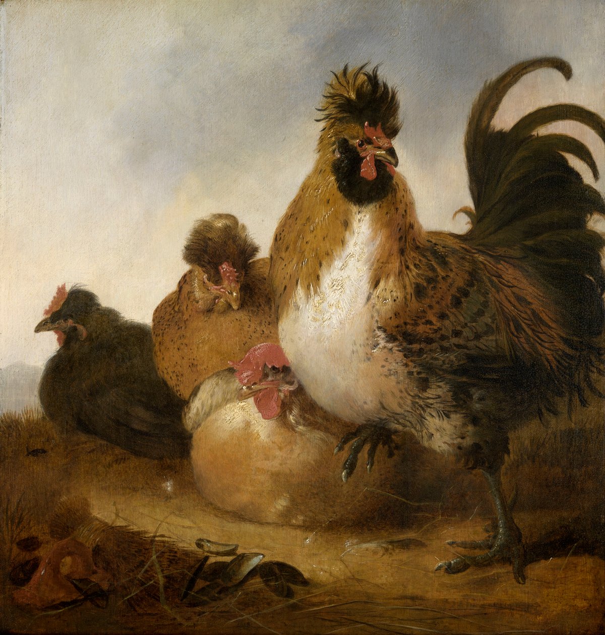 En hane och höns (olja på panel) av Aelbert Cuyp
