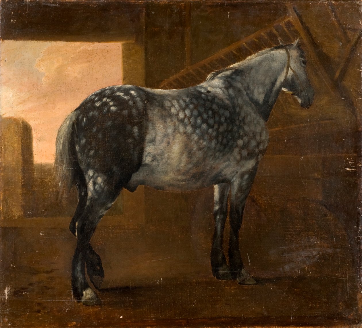 En dapple grå häst av Aelbert Cuyp