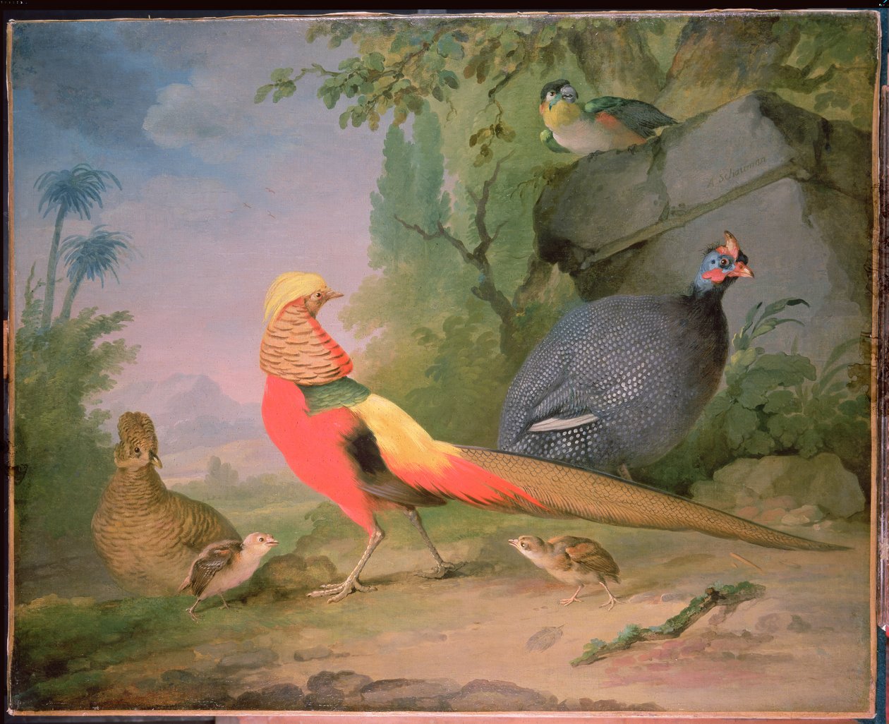 Vild fågel av Aert Schouman