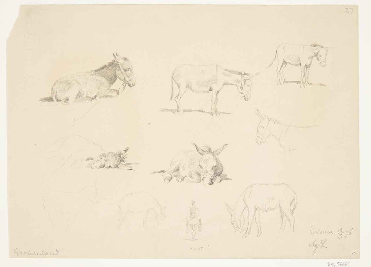 Studieblad med djur. av Agnes Lunn