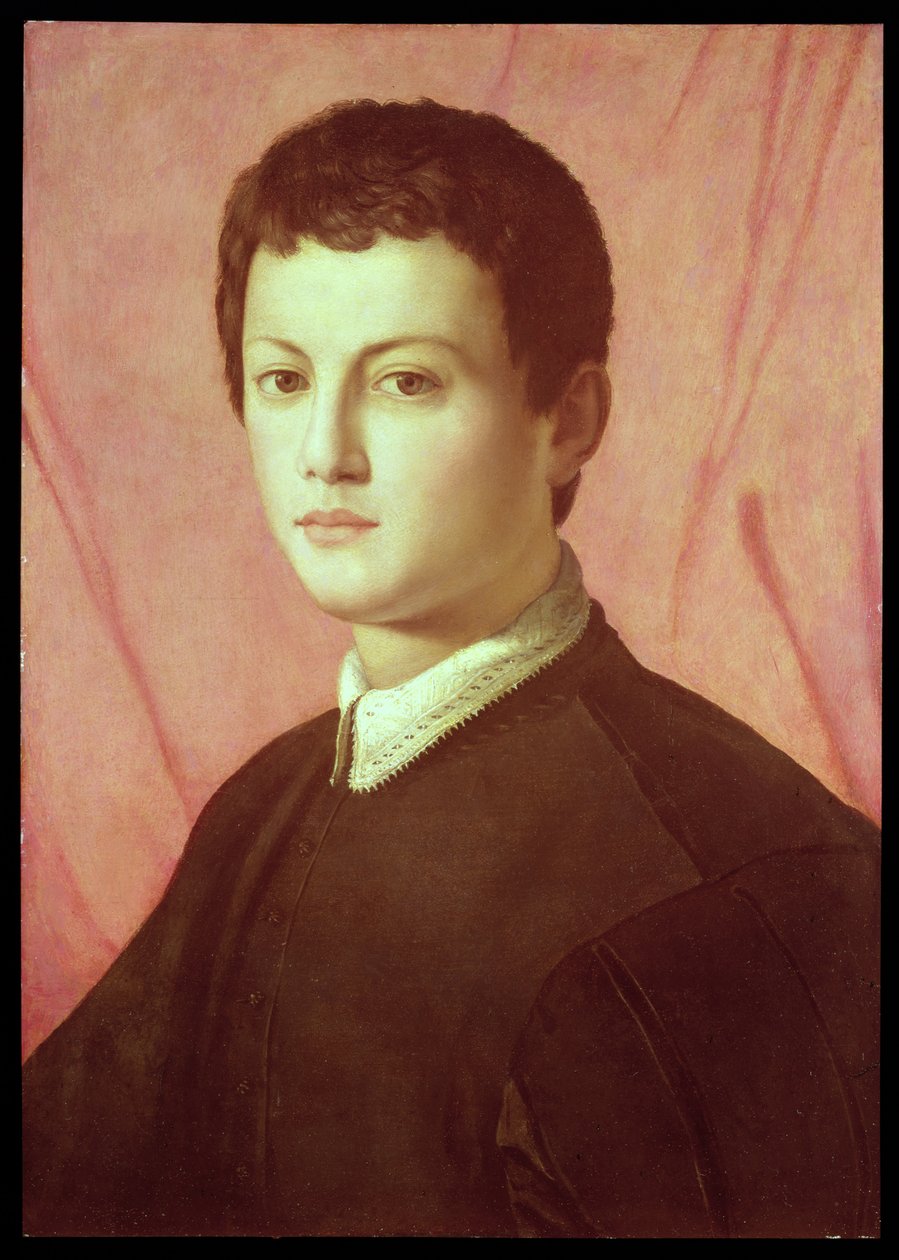 Porträtt av en ung man (panel) av Agnolo Bronzino