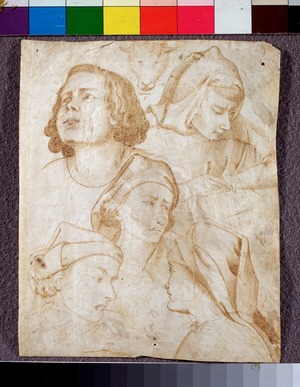 Huvuden (ritning av Agnolo Gaddi