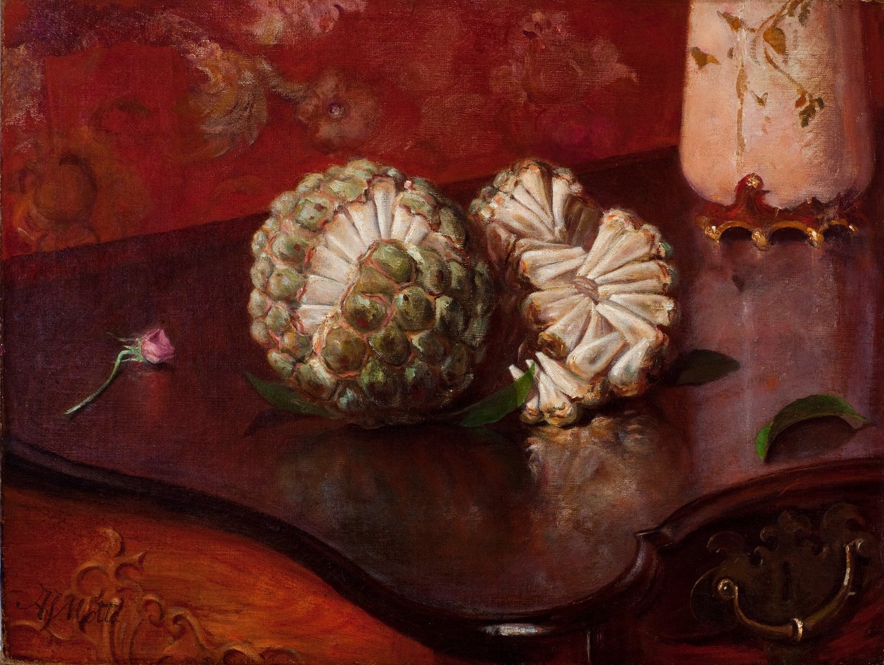 Sweetsop av Agostinhoda Motta