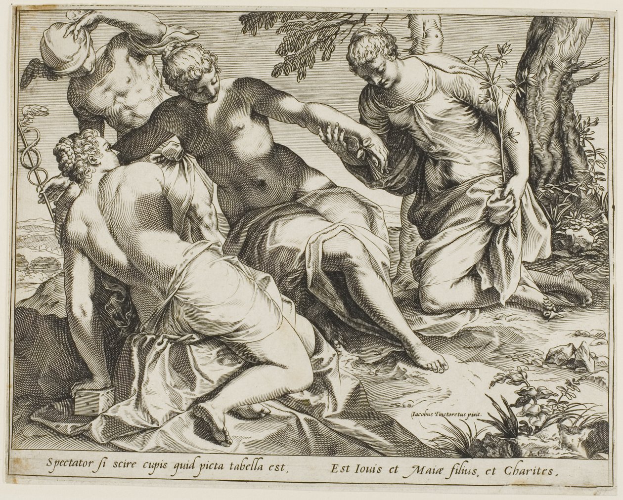 Merkurius och nåderna av Agostino Carracci