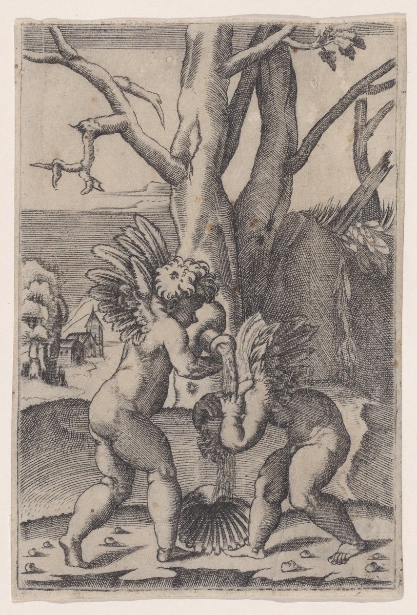 Två amoriner, ca. 1519. av Agostino Veneziano