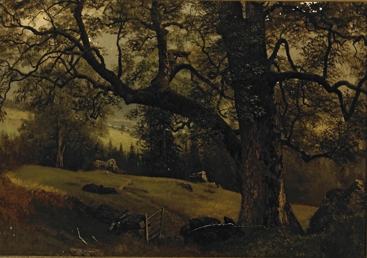 En stig genom träden av Albert Bierstadt