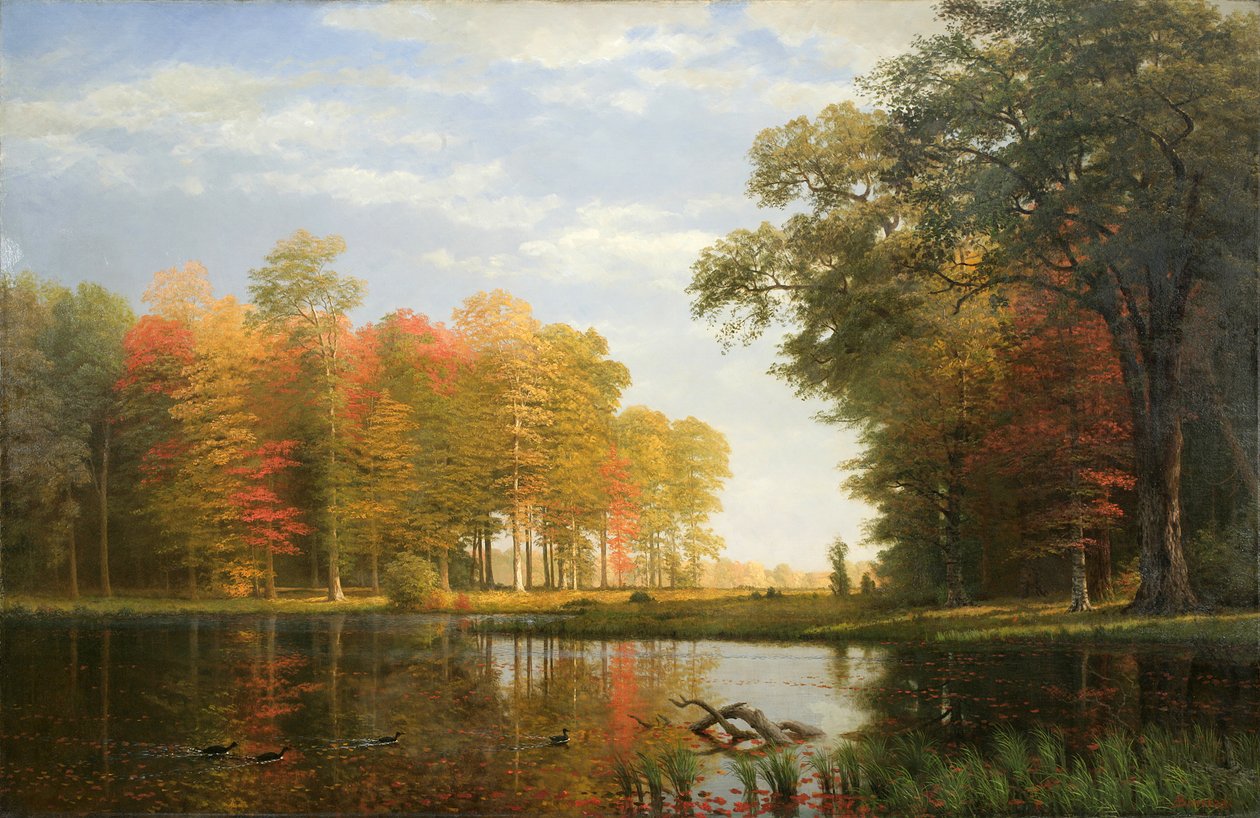 Autumn Woods, 1886 (olja på linne) av Albert Bierstadt