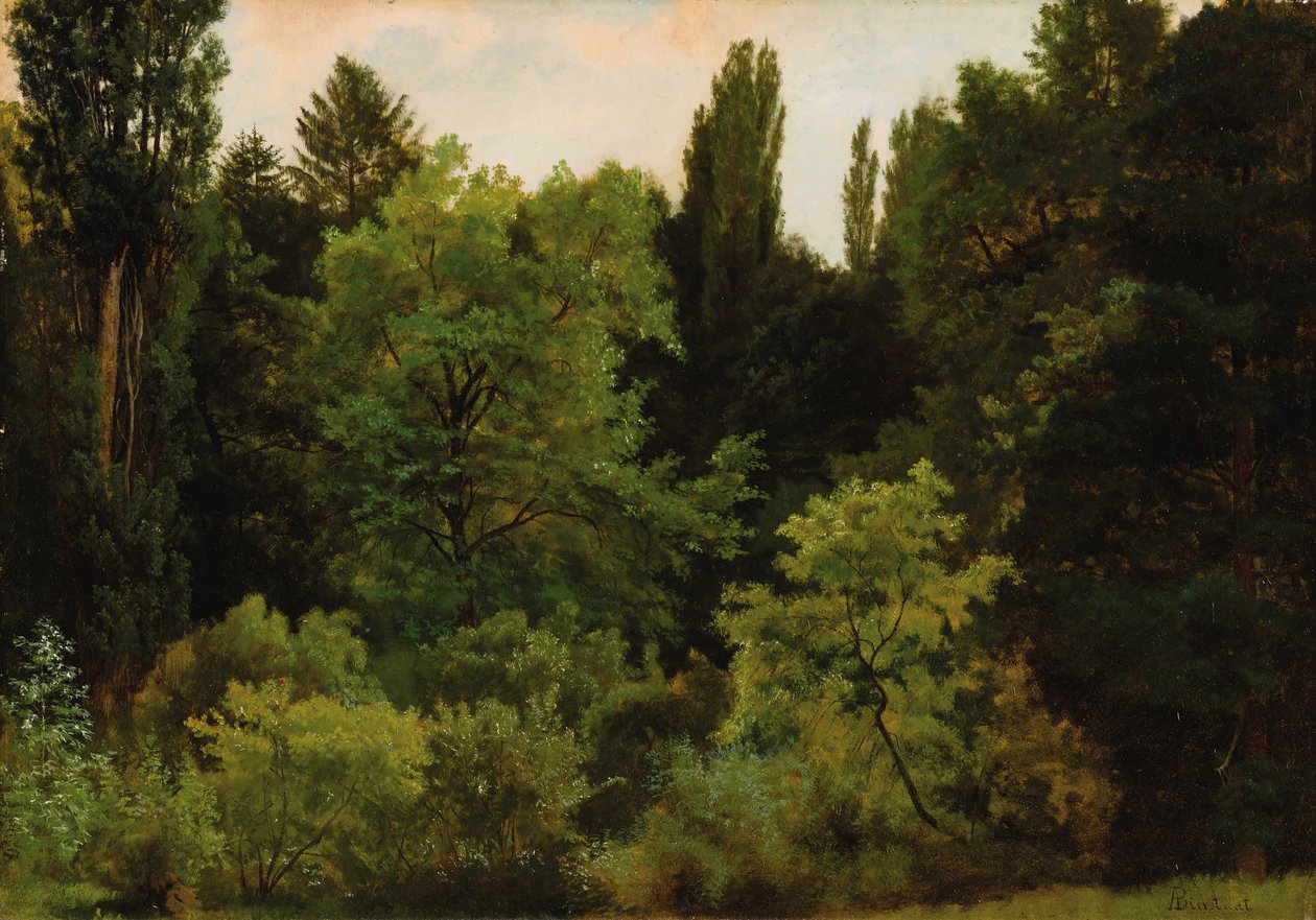 Deep in the Rockies av Albert Bierstadt