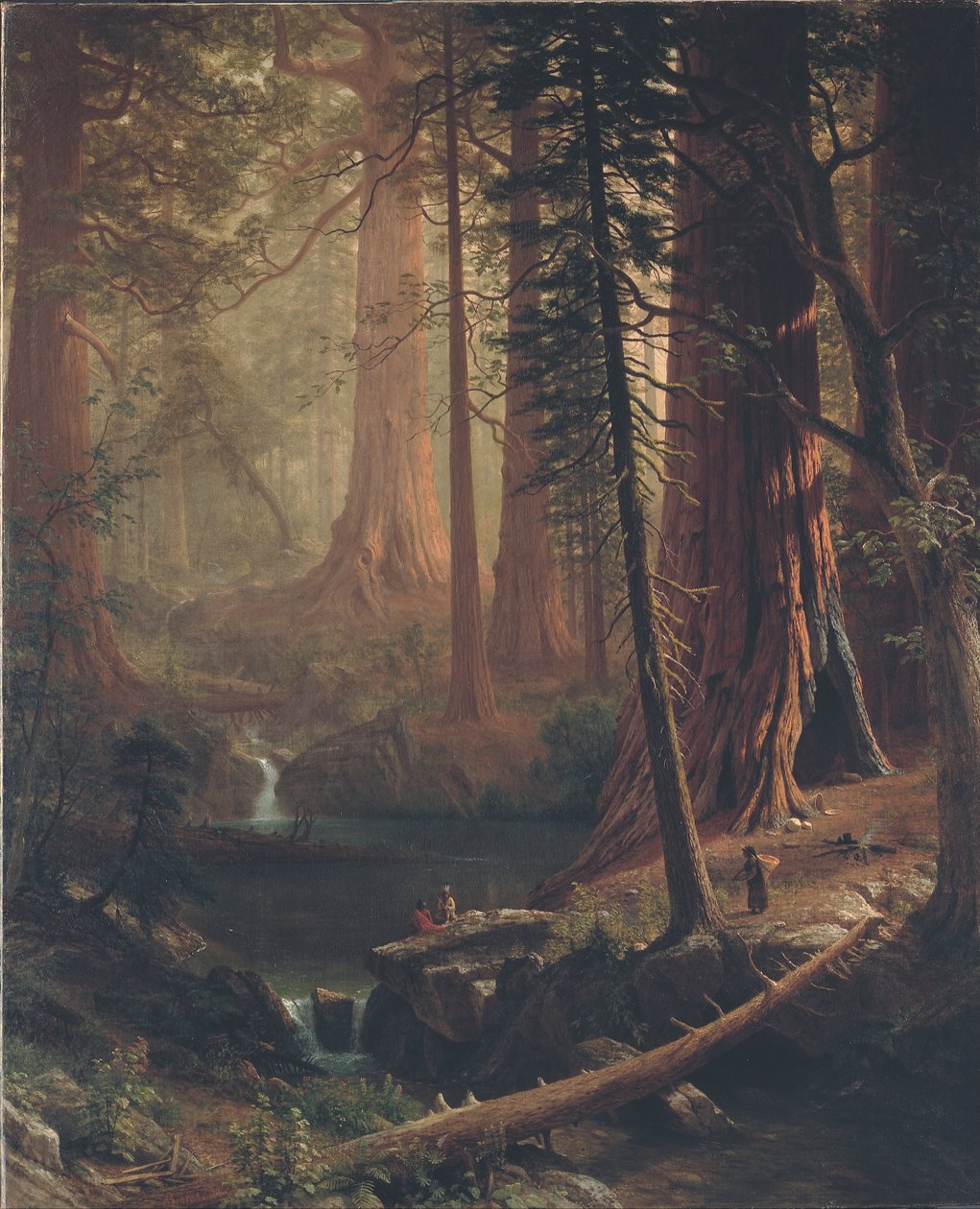 Giant Redwood Trees of California av Albert Bierstadt