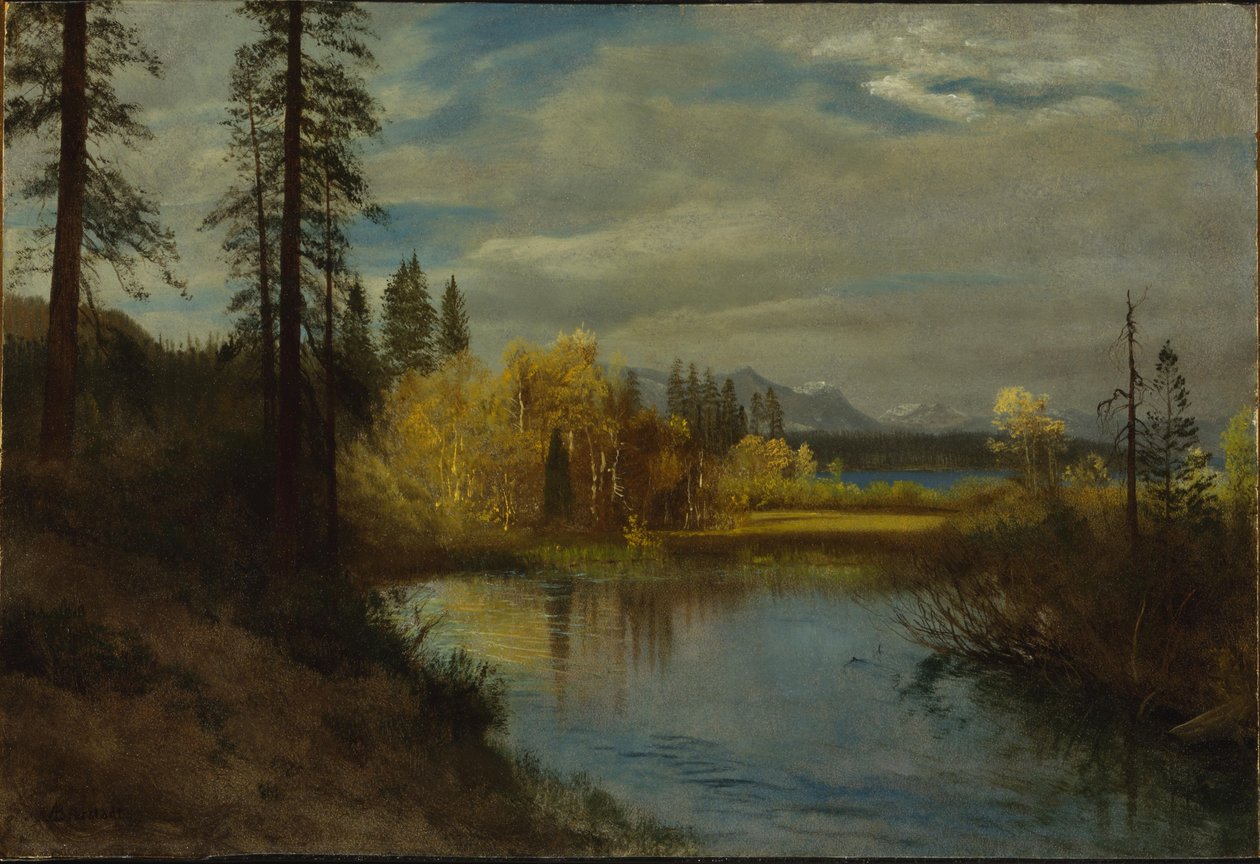 Outlet at Lake Tahoe av Albert Bierstadt