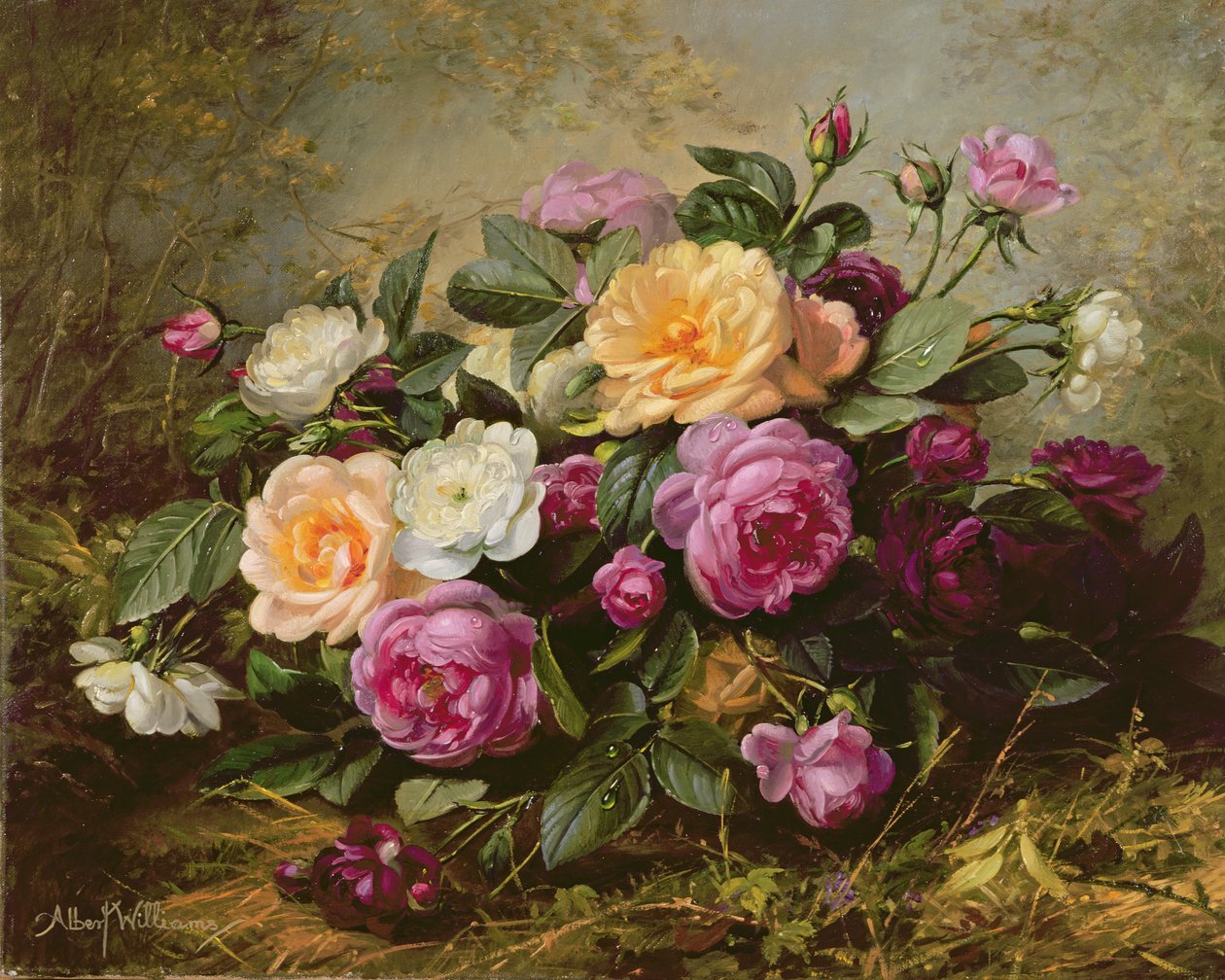 AB235 Fullblåsta rosor av Albert Williams