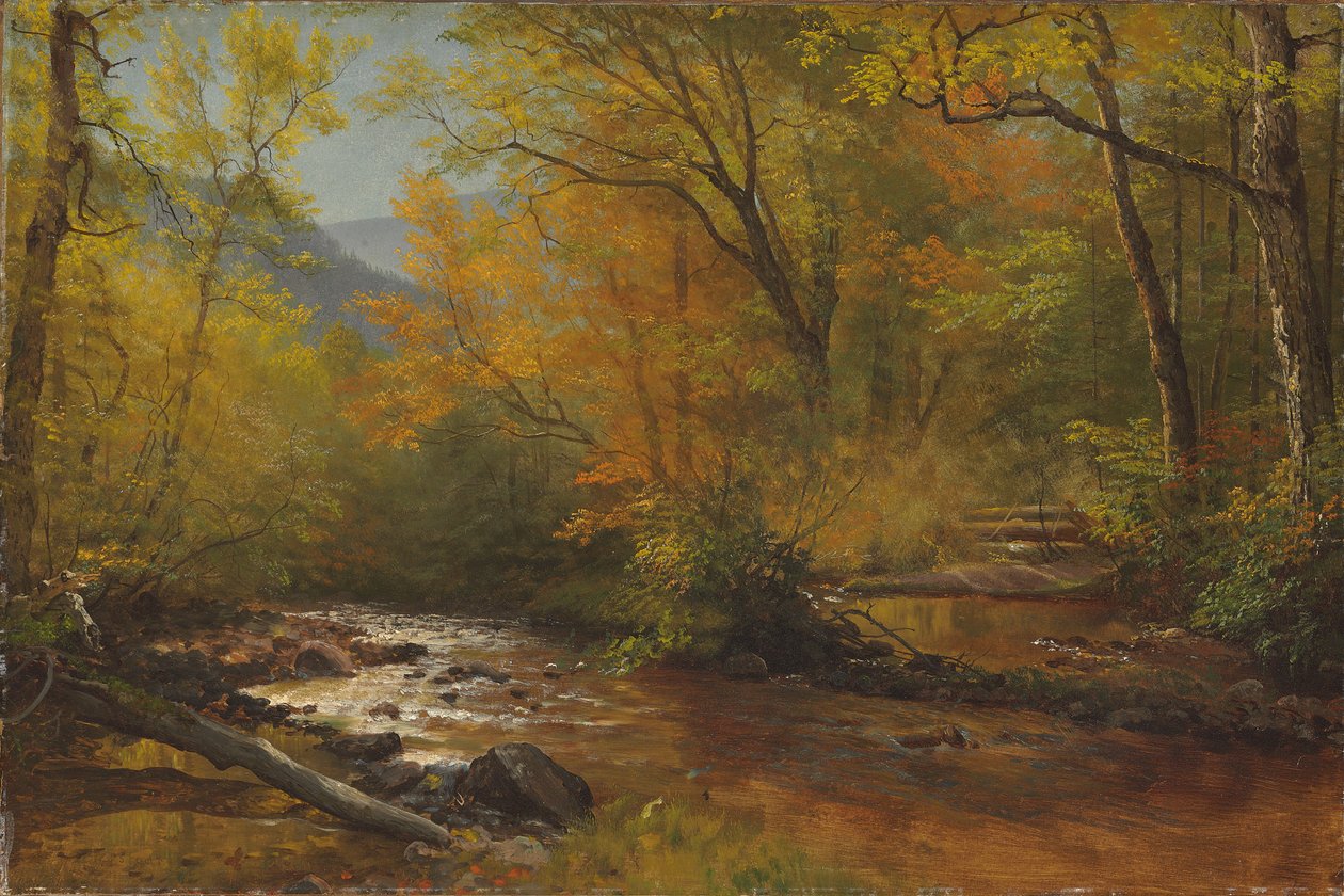 Bäck i skogen av Albert Bierstadt