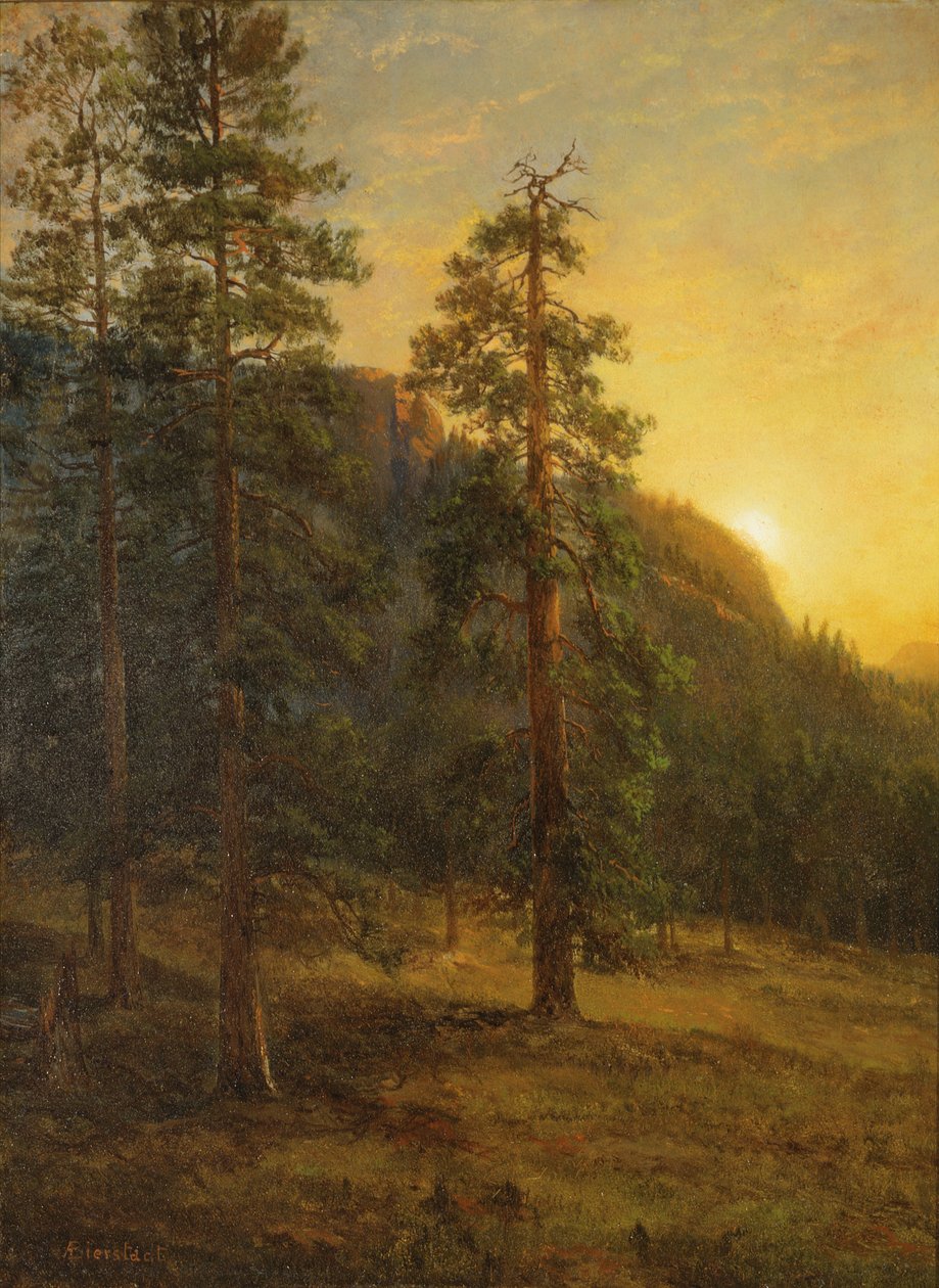 Redwoods i Kalifornien av Albert Bierstadt