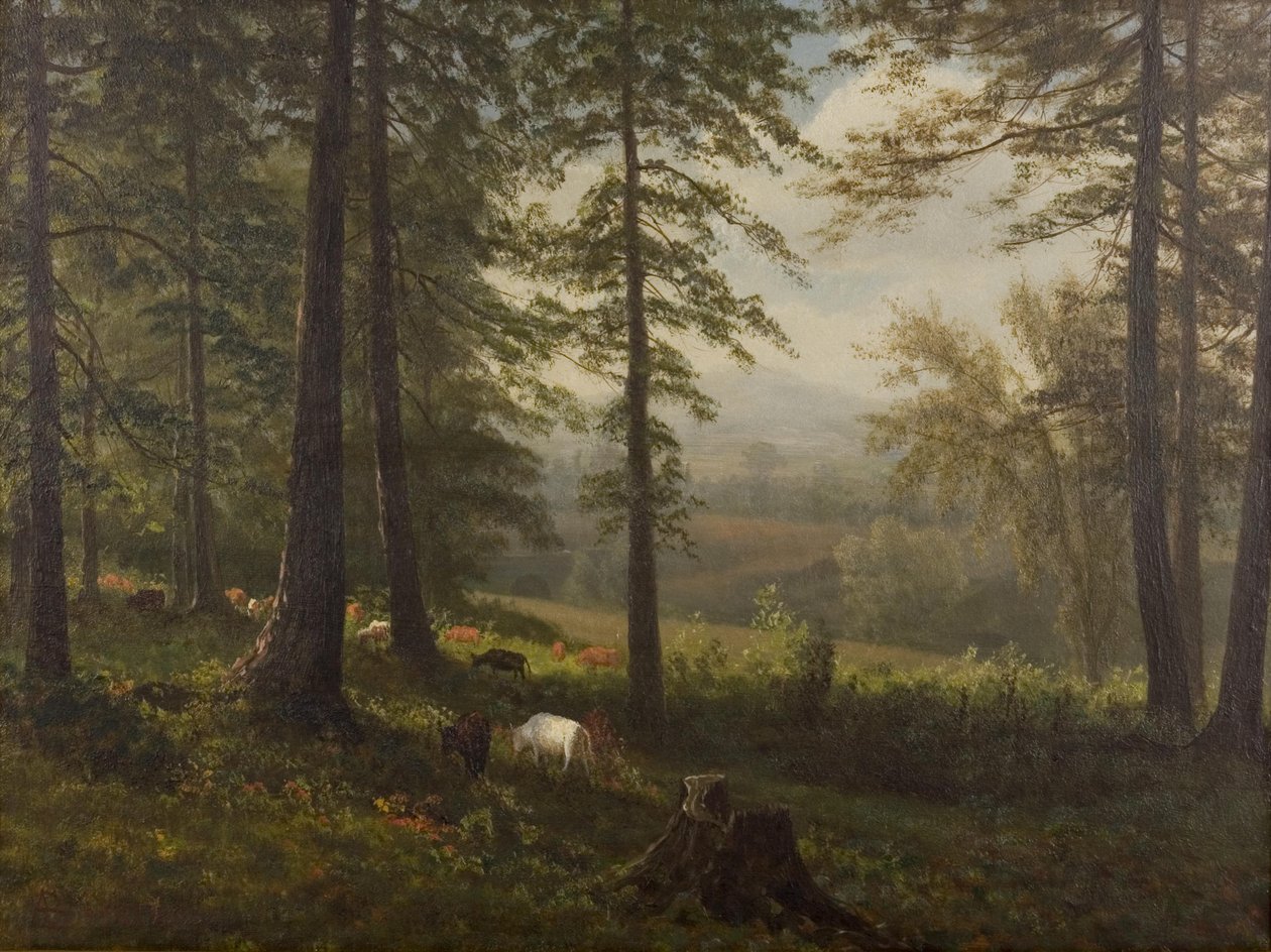 Utsikt till en clearing av Albert Bierstadt