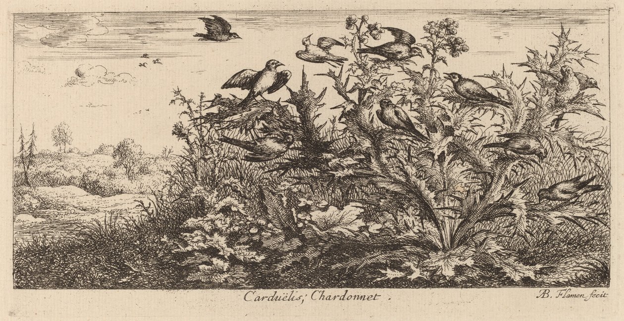 Carduelis, Guldfinken av Albert Flamen
