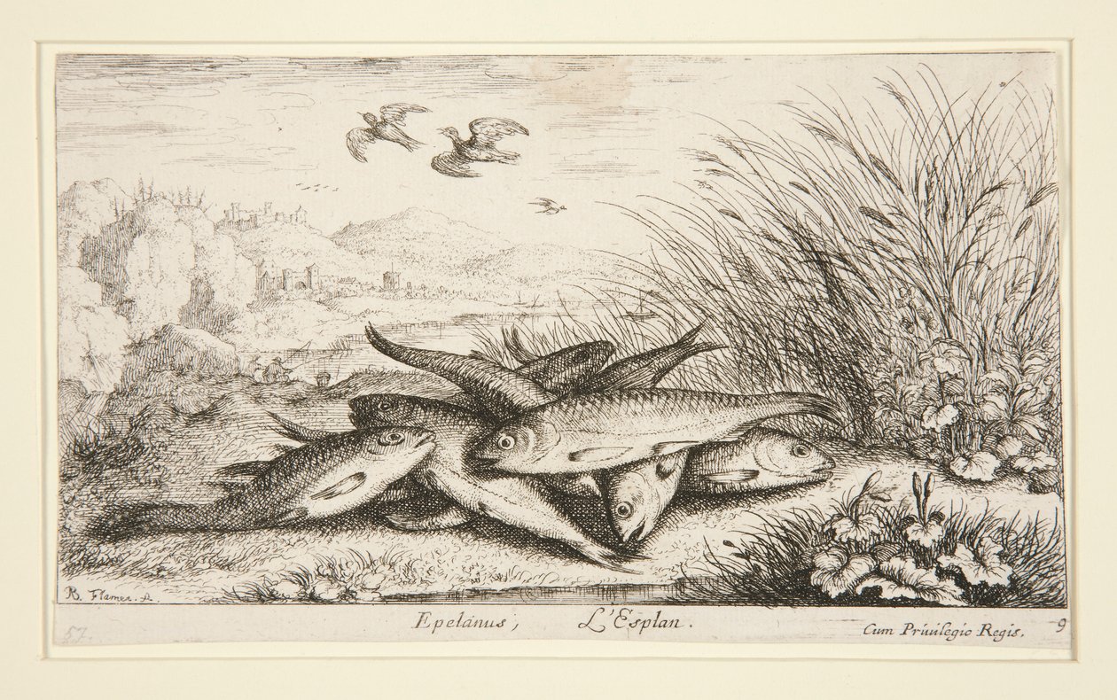 Epelanus, L av Albert Flamen