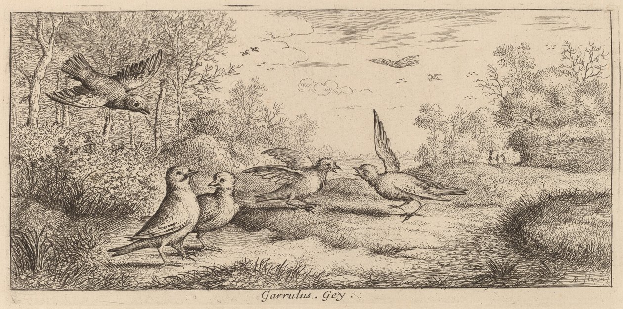 Garrulus, Jay av Albert Flamen