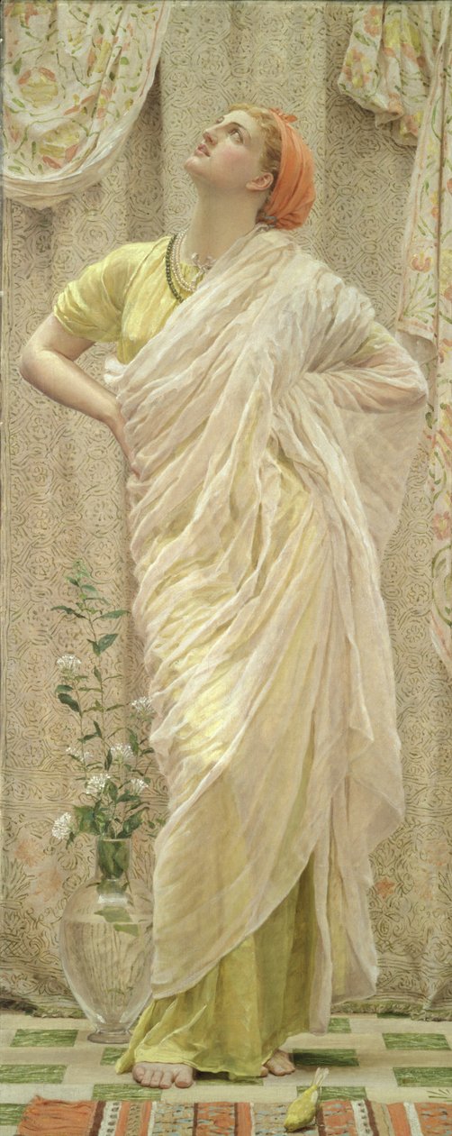 Fåglar av Albert Joseph Moore