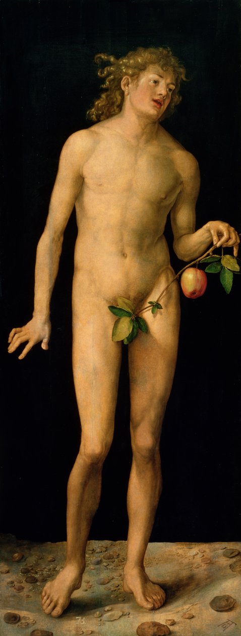 Adam, 1507 av Albrecht Dürer