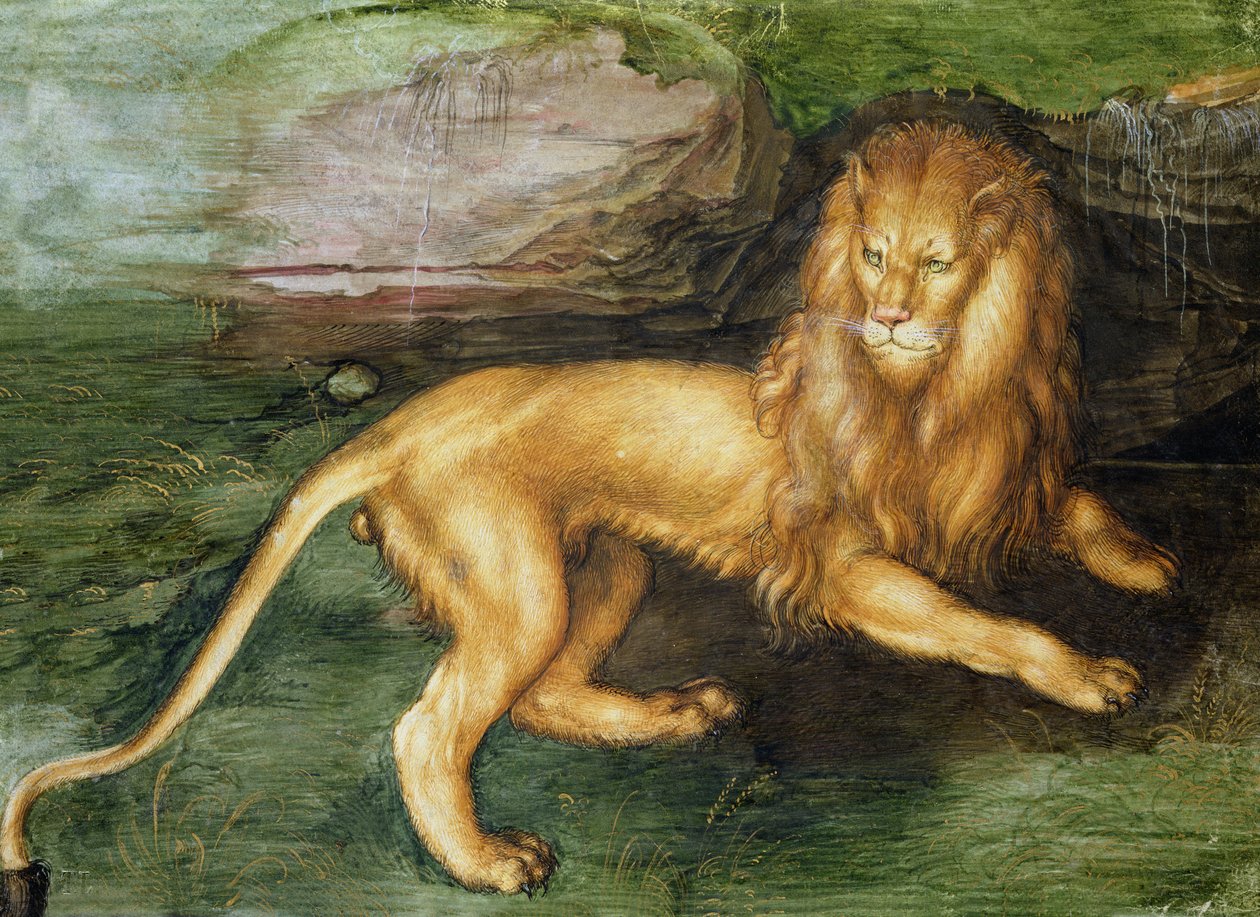 Lejon av Albrecht Dürer