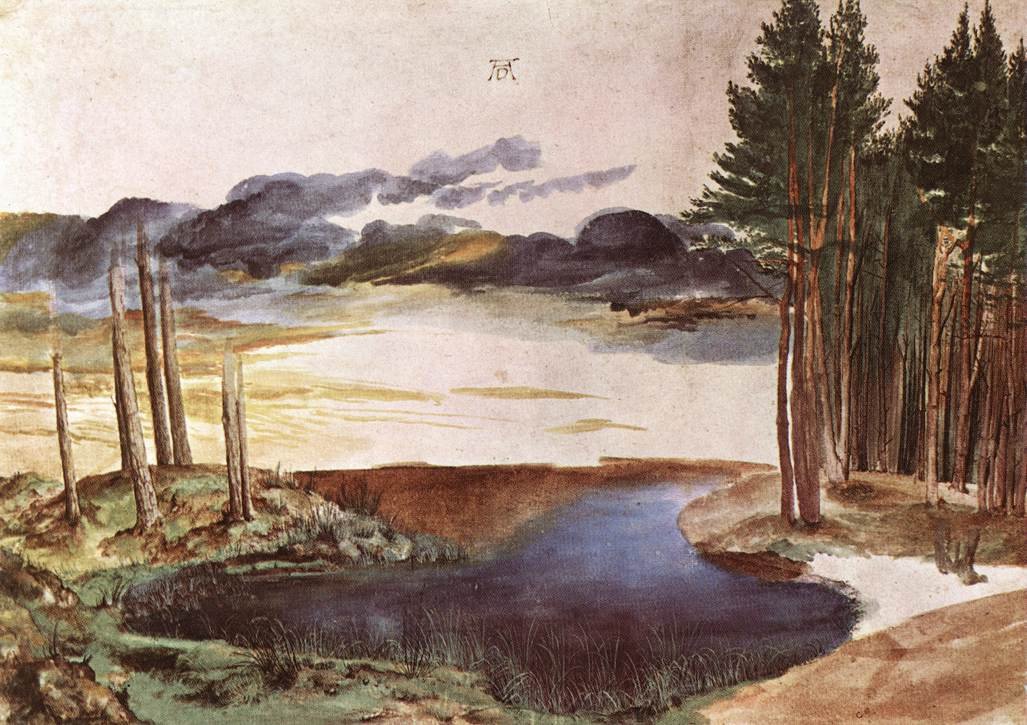 Pond in the Woods av Albrecht Dürer