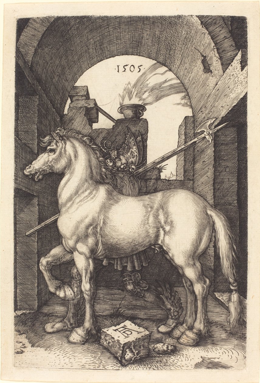 Liten häst av Albrecht Dürer