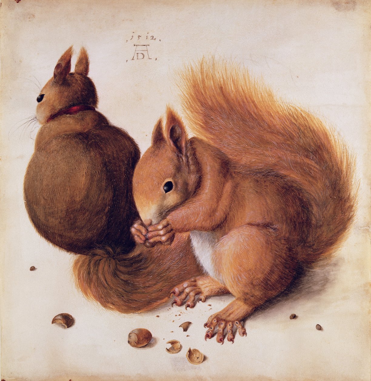 Ekorrar, 1512 (tempera på pergament) av Albrecht Dürer