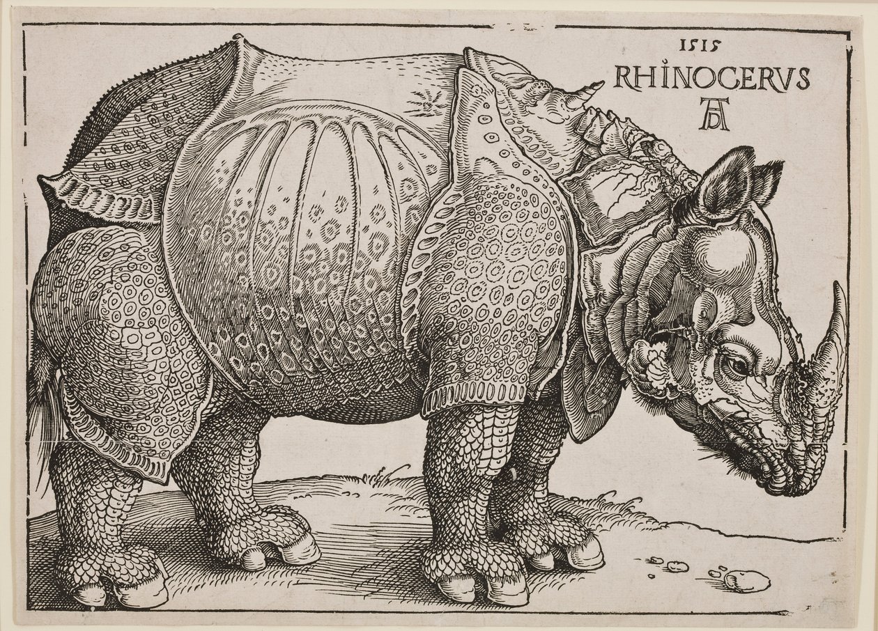 Noshörningen, 1515 av Albrecht Dürer
