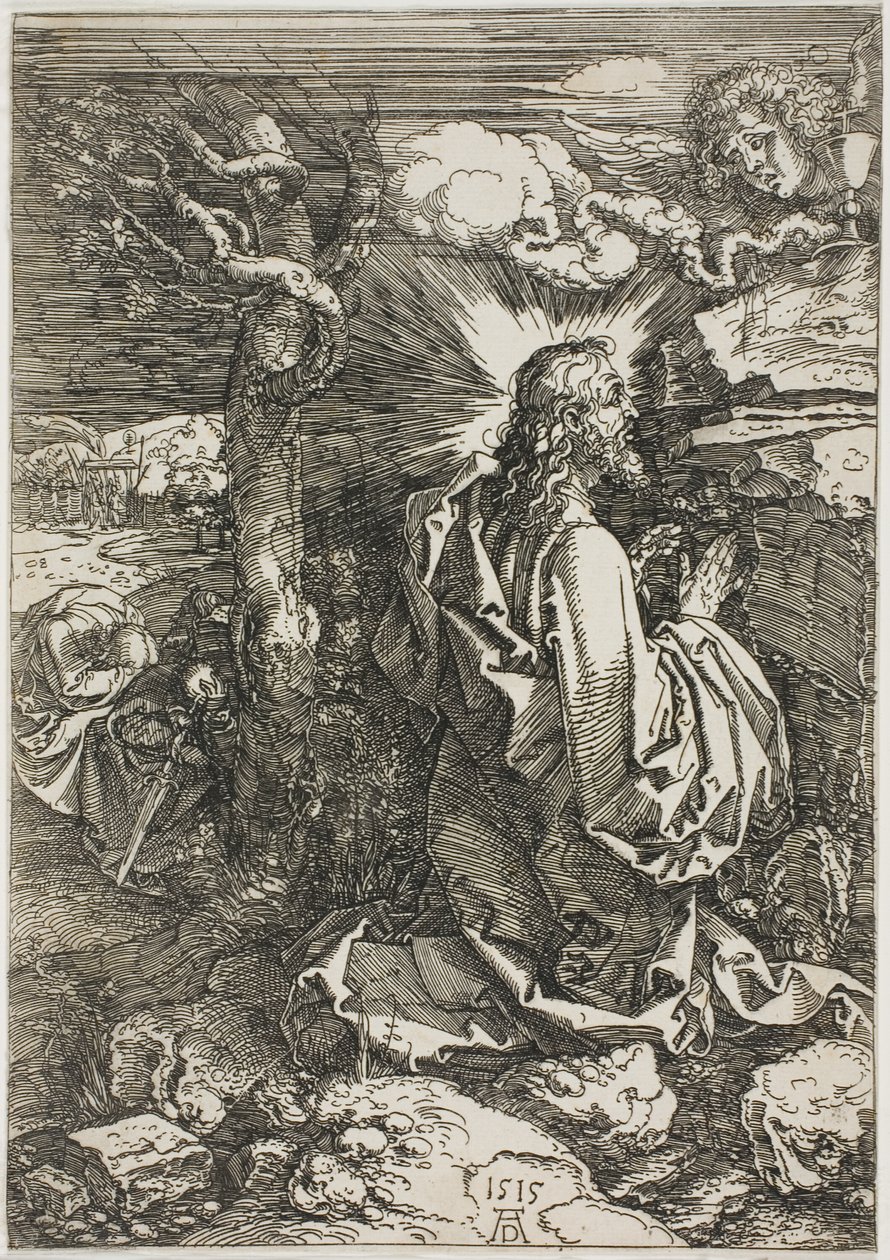 Kval i trädgården av Albrecht Dürer
