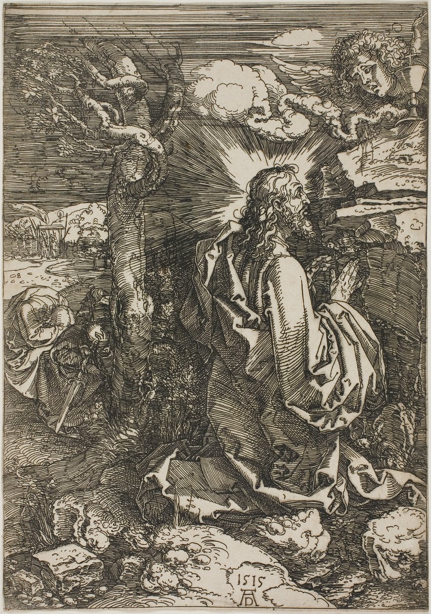 Kval i trädgården av Albrecht Dürer