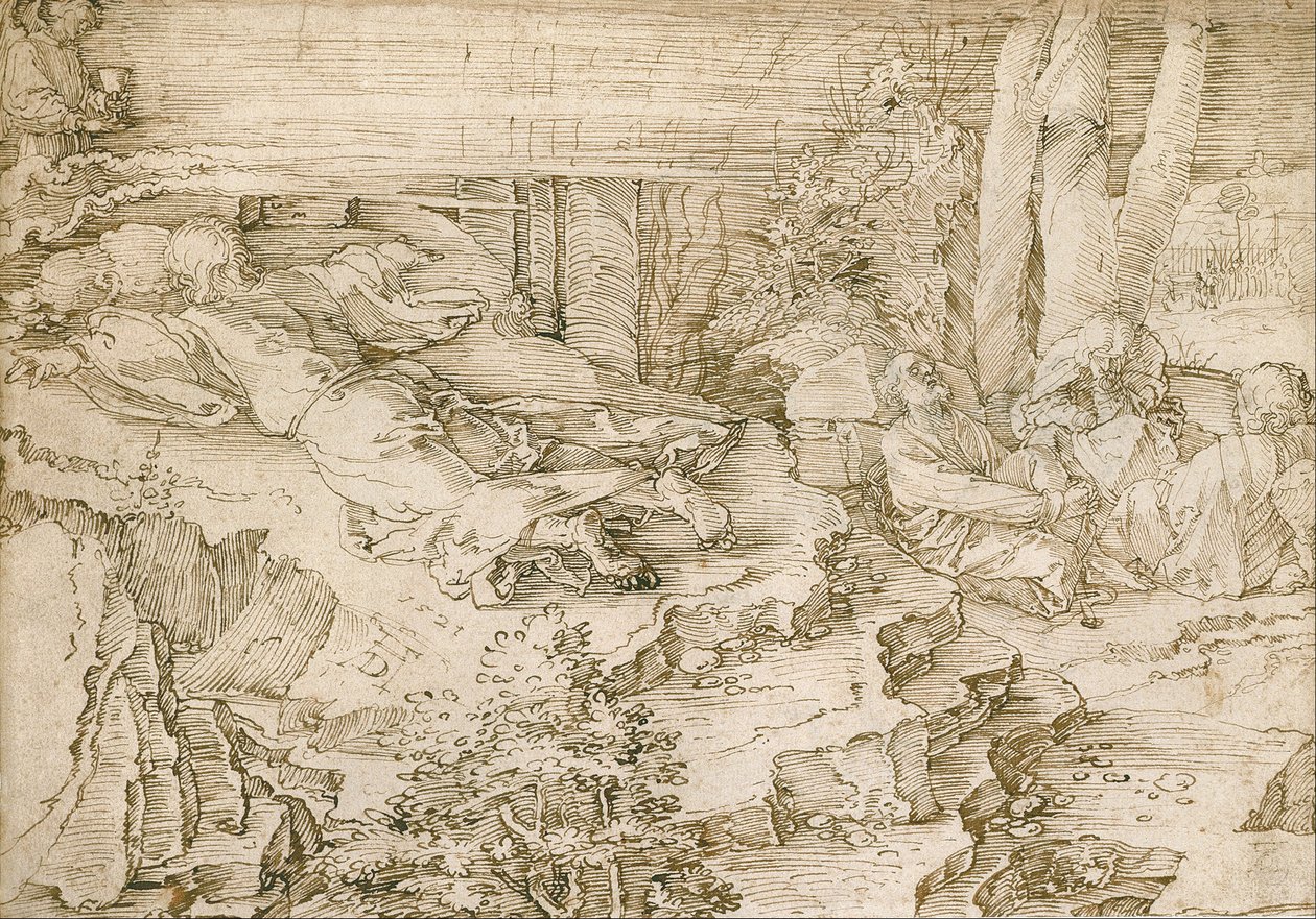 Plåga i trädgården av Albrecht Dürer