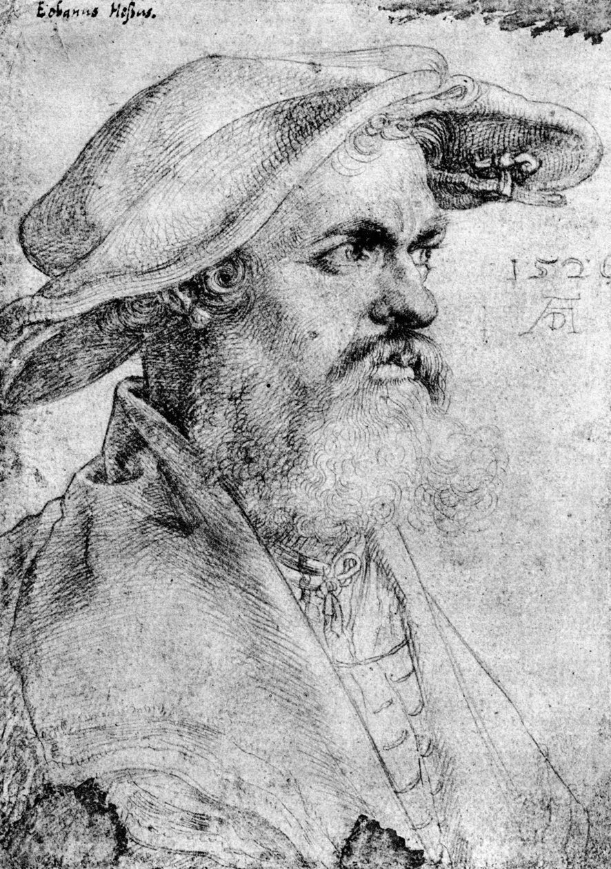 Eobanus Hesse, 1526, 1936 av Albrecht Dürer
