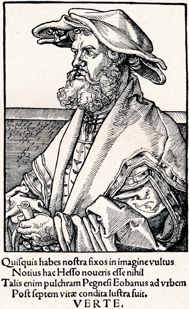 Eobanus Hesse, 1527 1906 av Albrecht Dürer