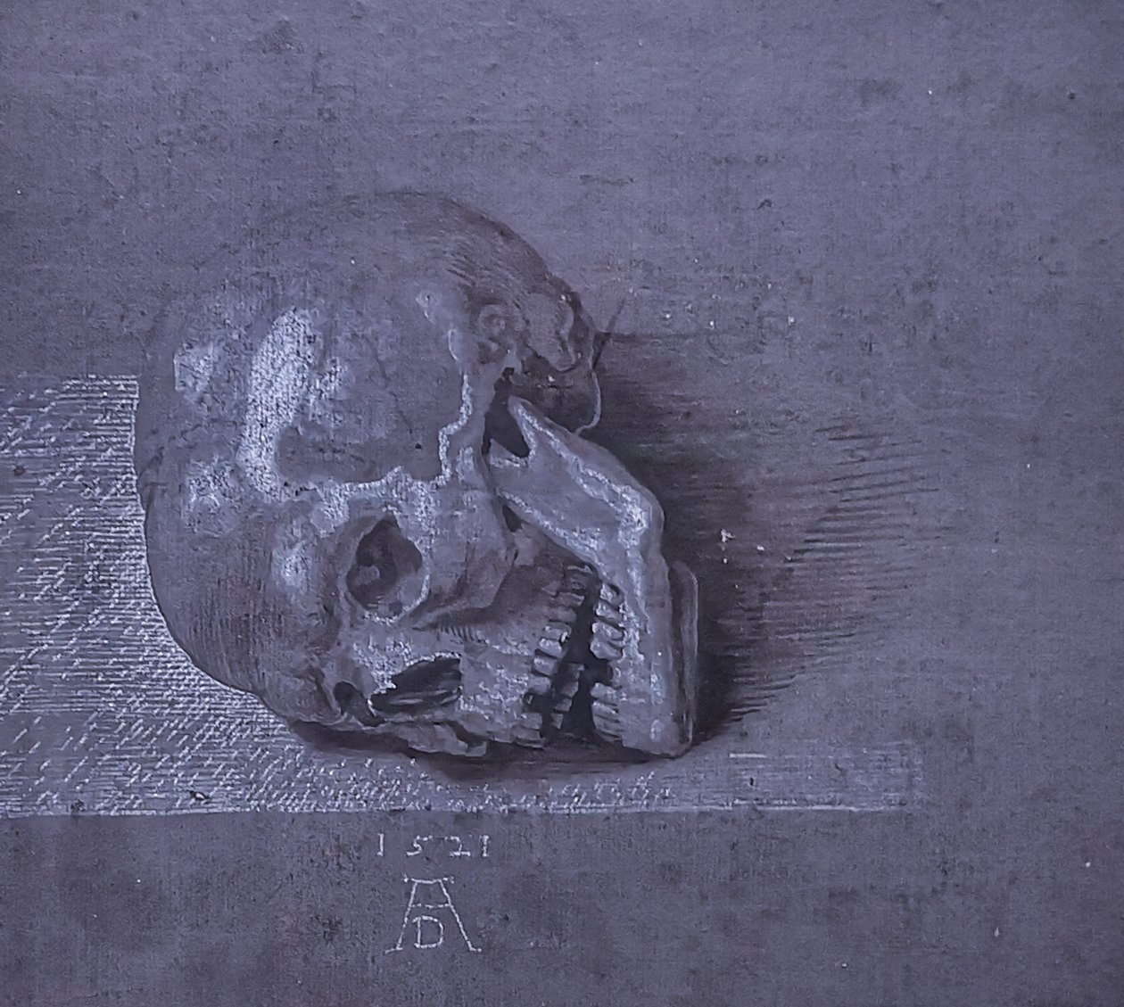 Tyska: Totenschädel. av Albrecht Dürer