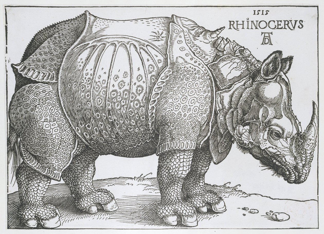 Neushoorn Noshörning (titel på objekt) av Albrecht Dürer